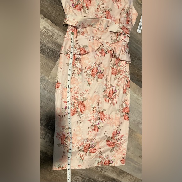 NWT Antonio Melani size 8 pink beige green sleeveless belted dress. - Picture 9 of 9